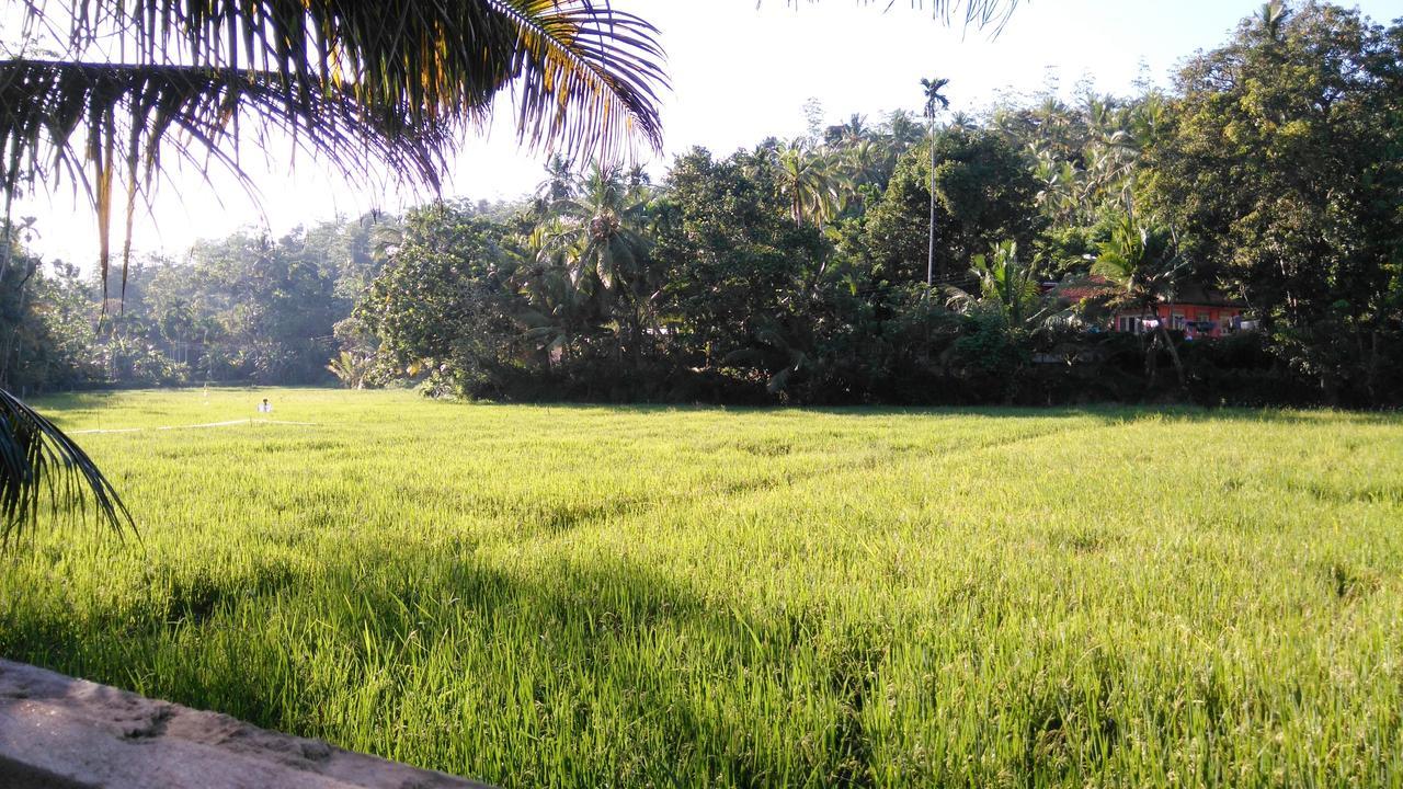 Villa Paddy Fields View Mirissa Exteriör bild